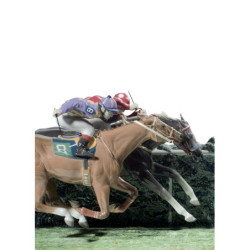 W rzeźbie koni DerBy. Limitowana W rzeźbie koni DerBy. Limitowana