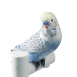 Talerz Romans Papugi Talerz Romans Papugi