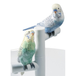 Talerz Romans Papugi Talerz Romans Papugi