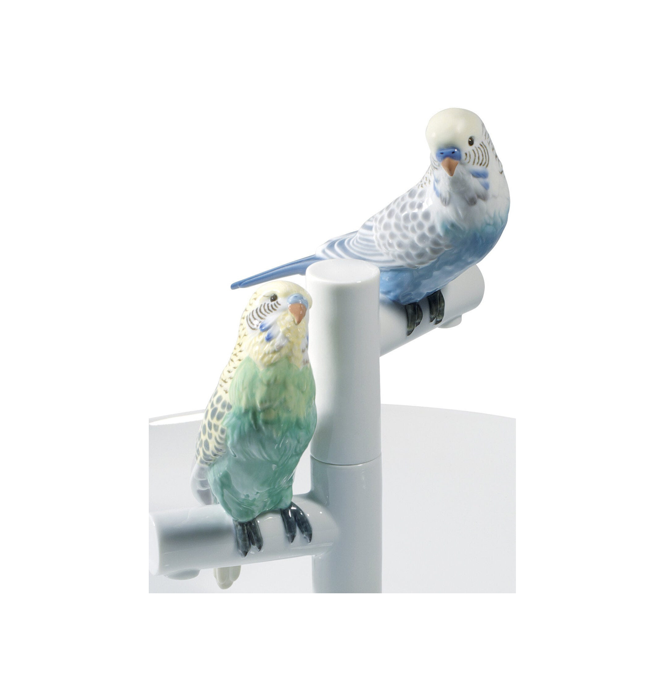 Talerz Romans Papugi Talerz Romans Papugi