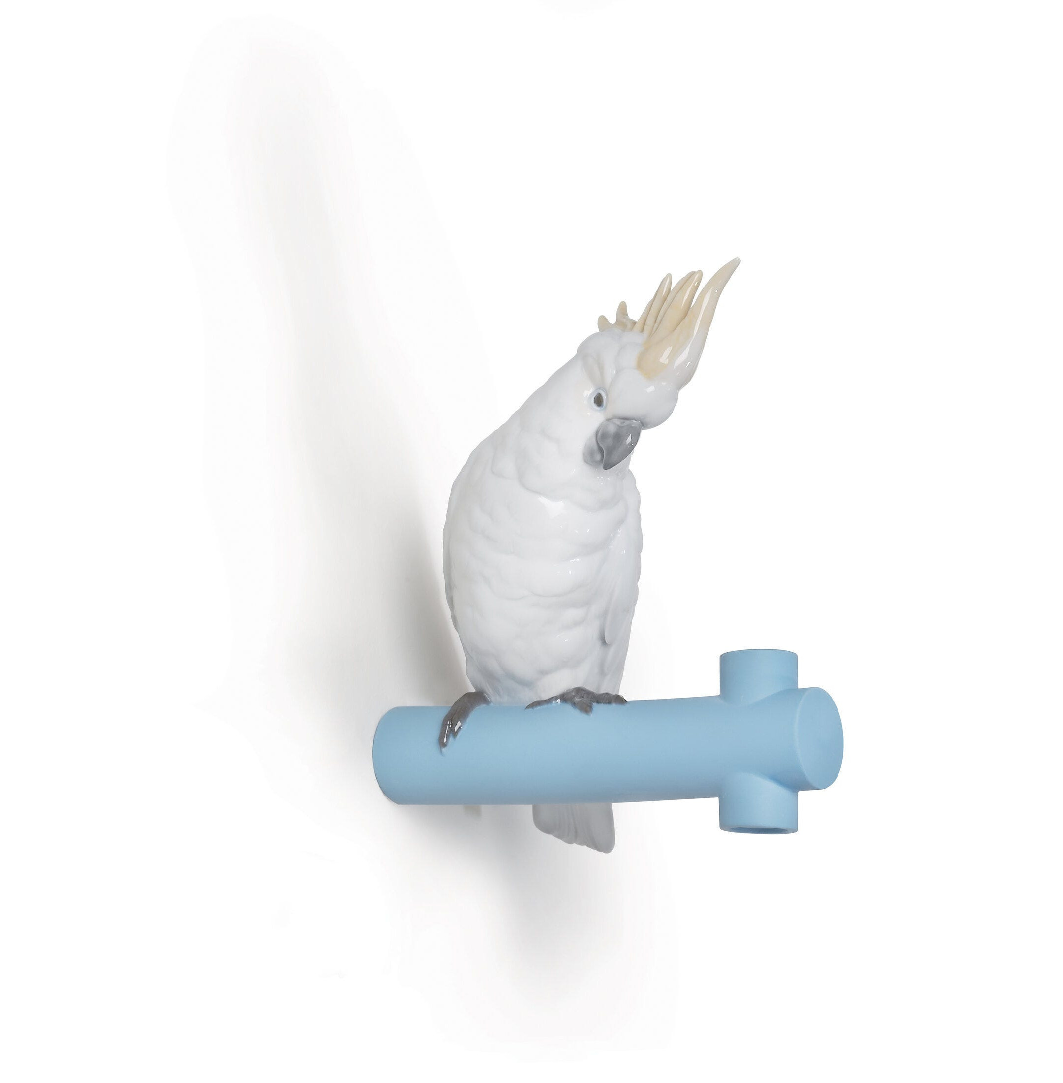 Wieszak na papugę i Wieszak na papugę i