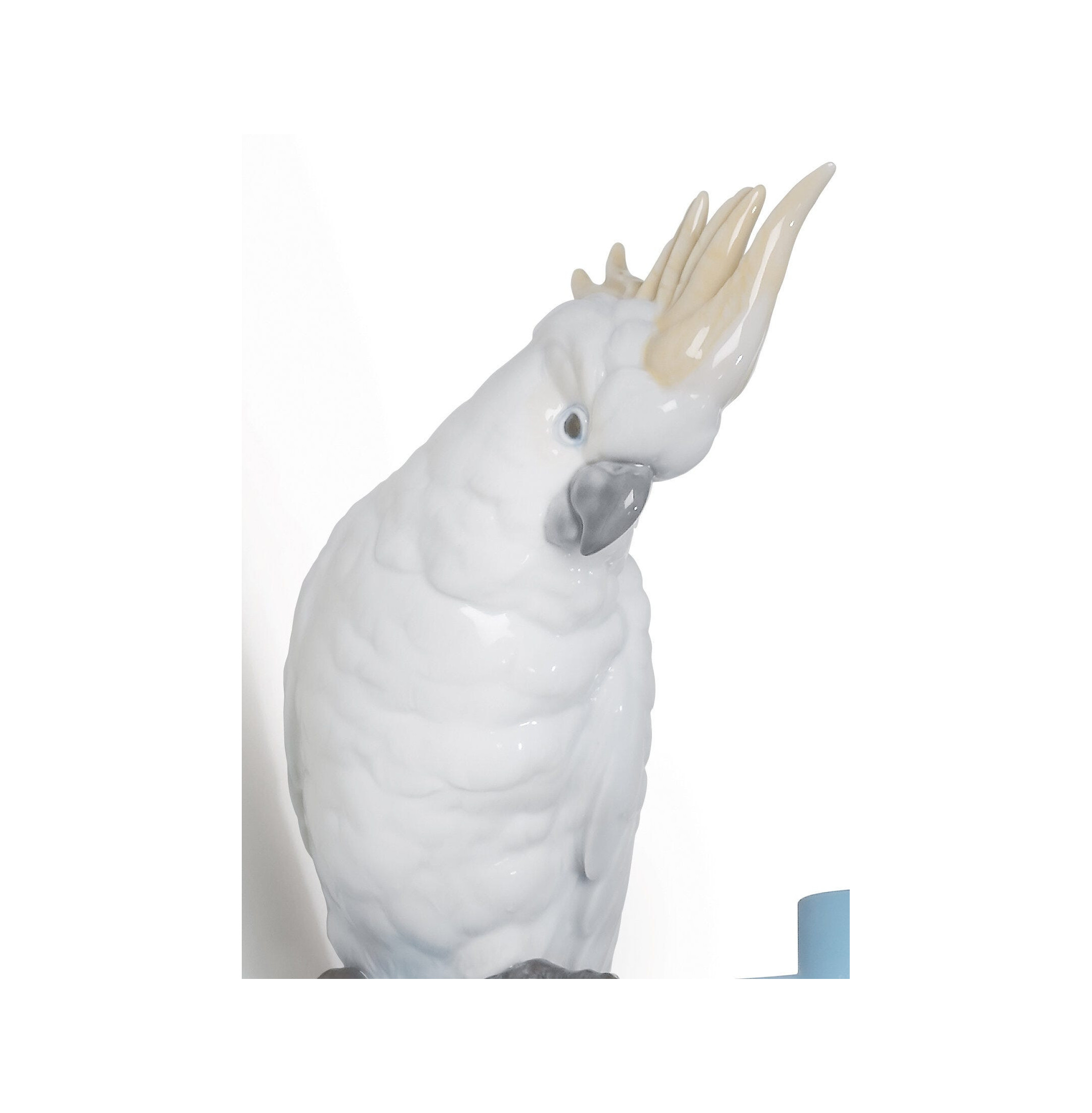 Wieszak na papugę i Wieszak na papugę i