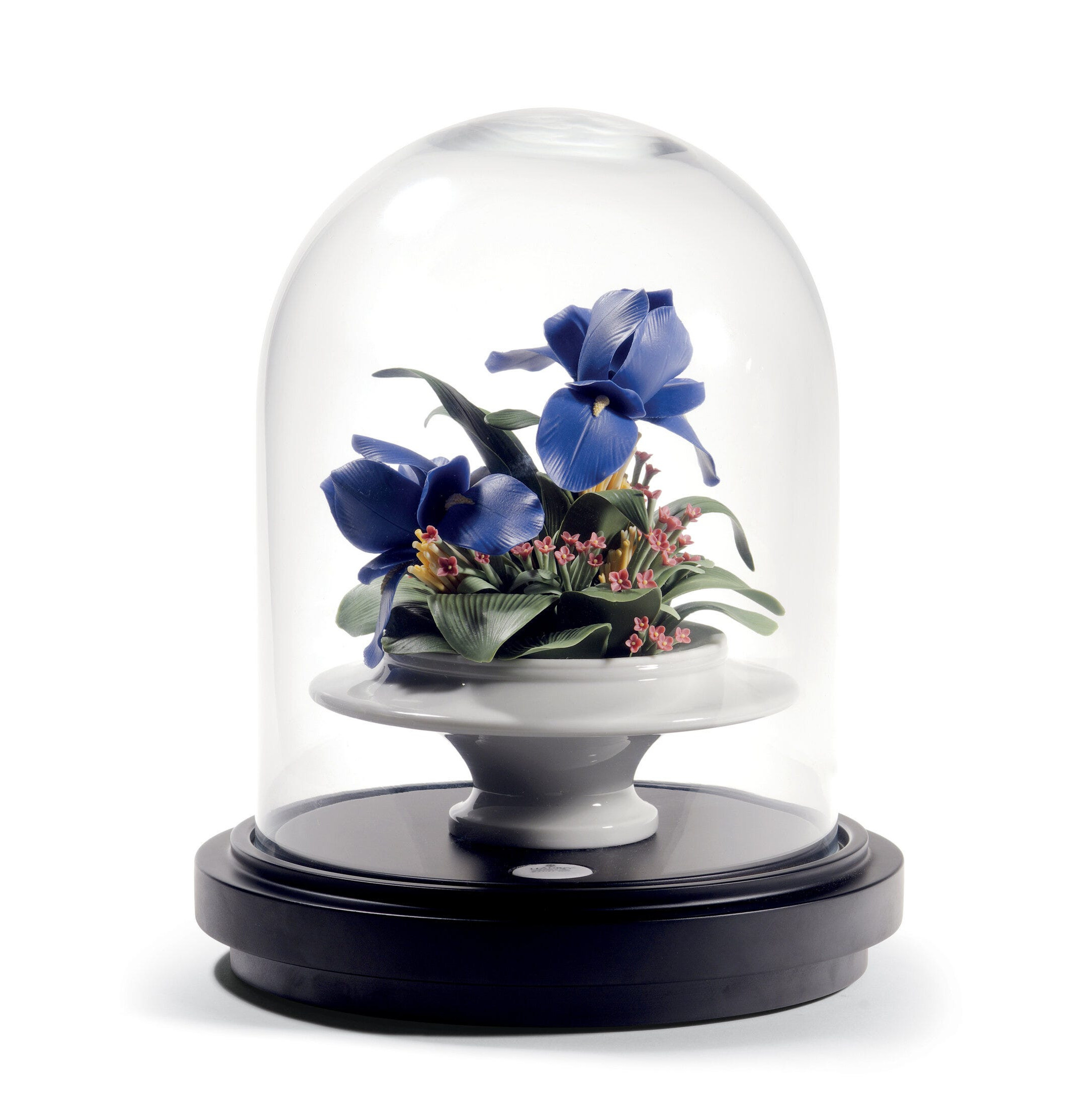 Centralny element tęczówki. Limitowana Centralny element tęczówki. Limitowana