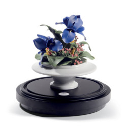 Centralny element tęczówki. Limitowana Centralny element tęczówki. Limitowana