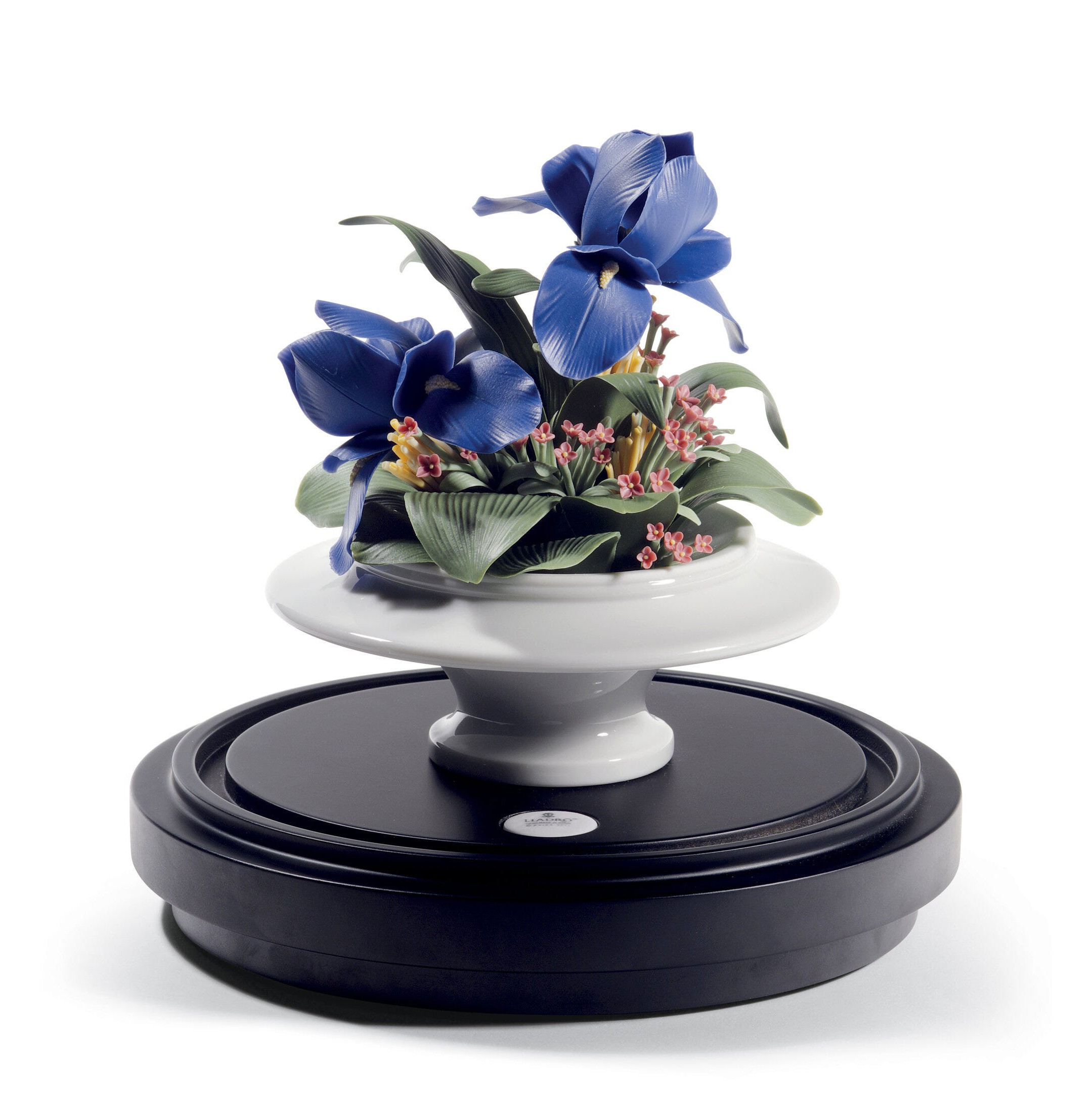 Centralny element tęczówki. Limitowana Centralny element tęczówki. Limitowana