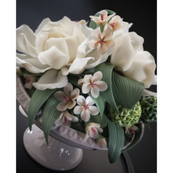 Centralny element kamelii. Limitowana Centralny element kamelii. Limitowana