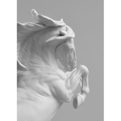 Niezniszczalna rzeźba konia ducha Niezniszczalna rzeźba konia ducha