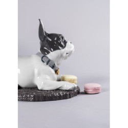 Buldog francuski z figurką psa z makaronikami Buldog francuski z figurką psa z makaronikami