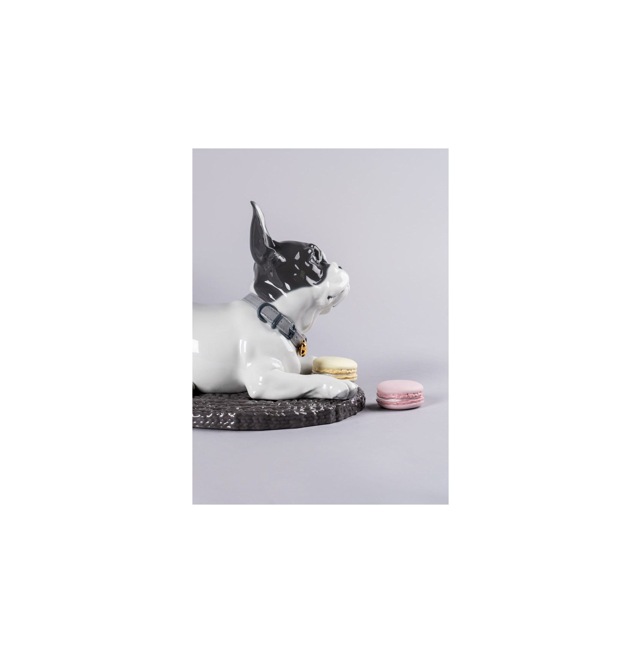 Buldog francuski z figurką psa z makaronikami Buldog francuski z figurką psa z makaronikami