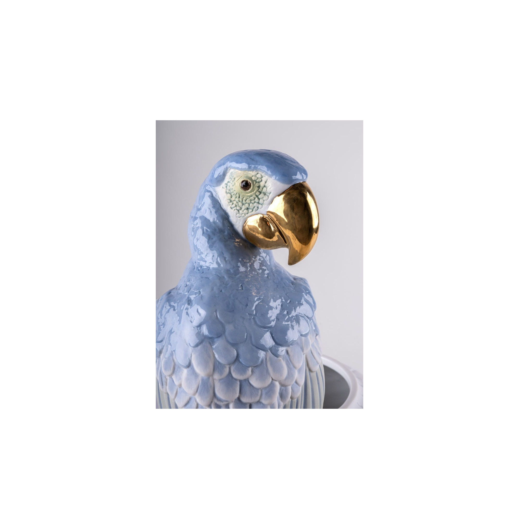 Wazon z arą Wazon z arą