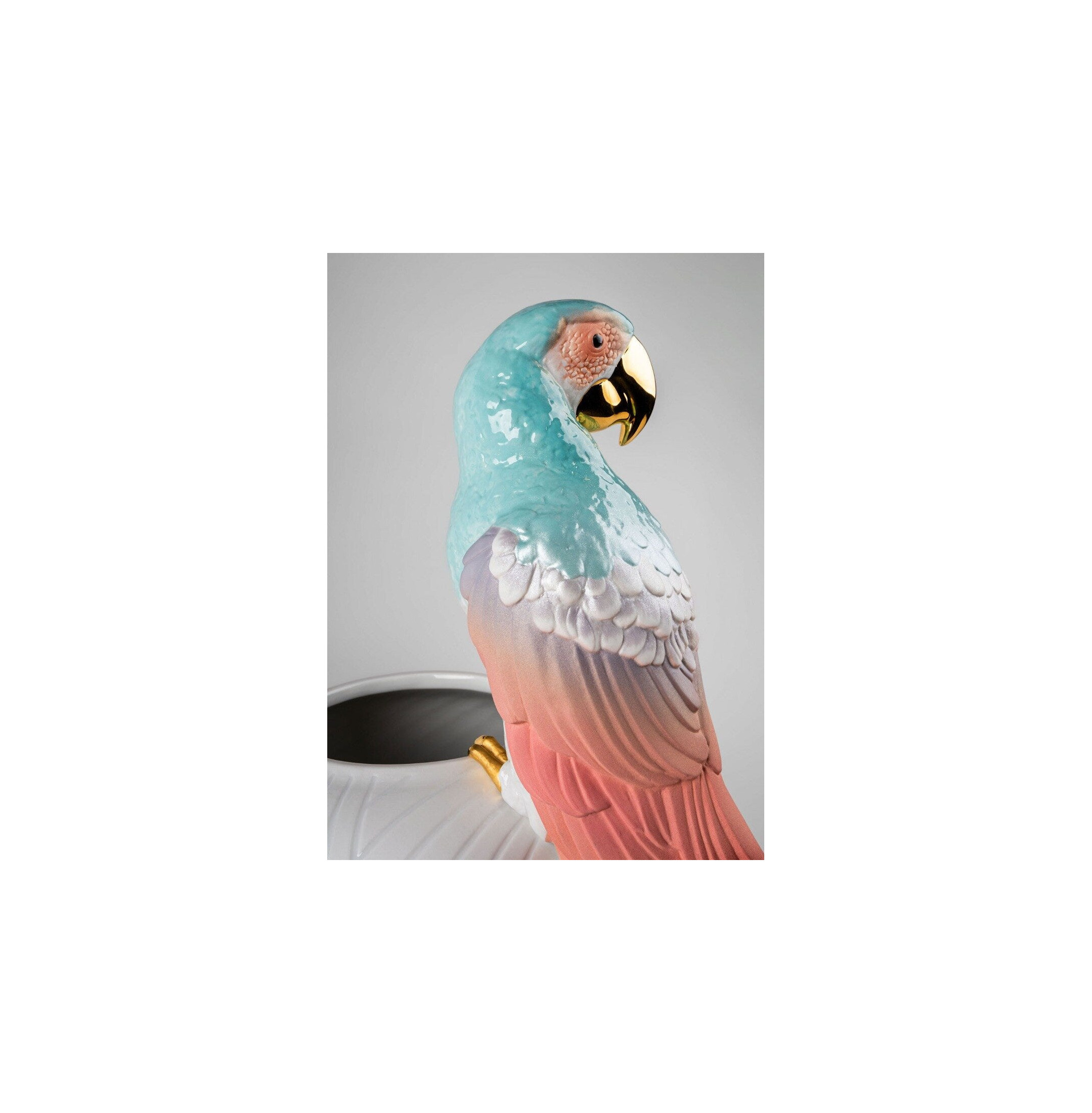 Wazon z arą dla ptaków. Czerwony Wazon z arą dla ptaków. Czerwony