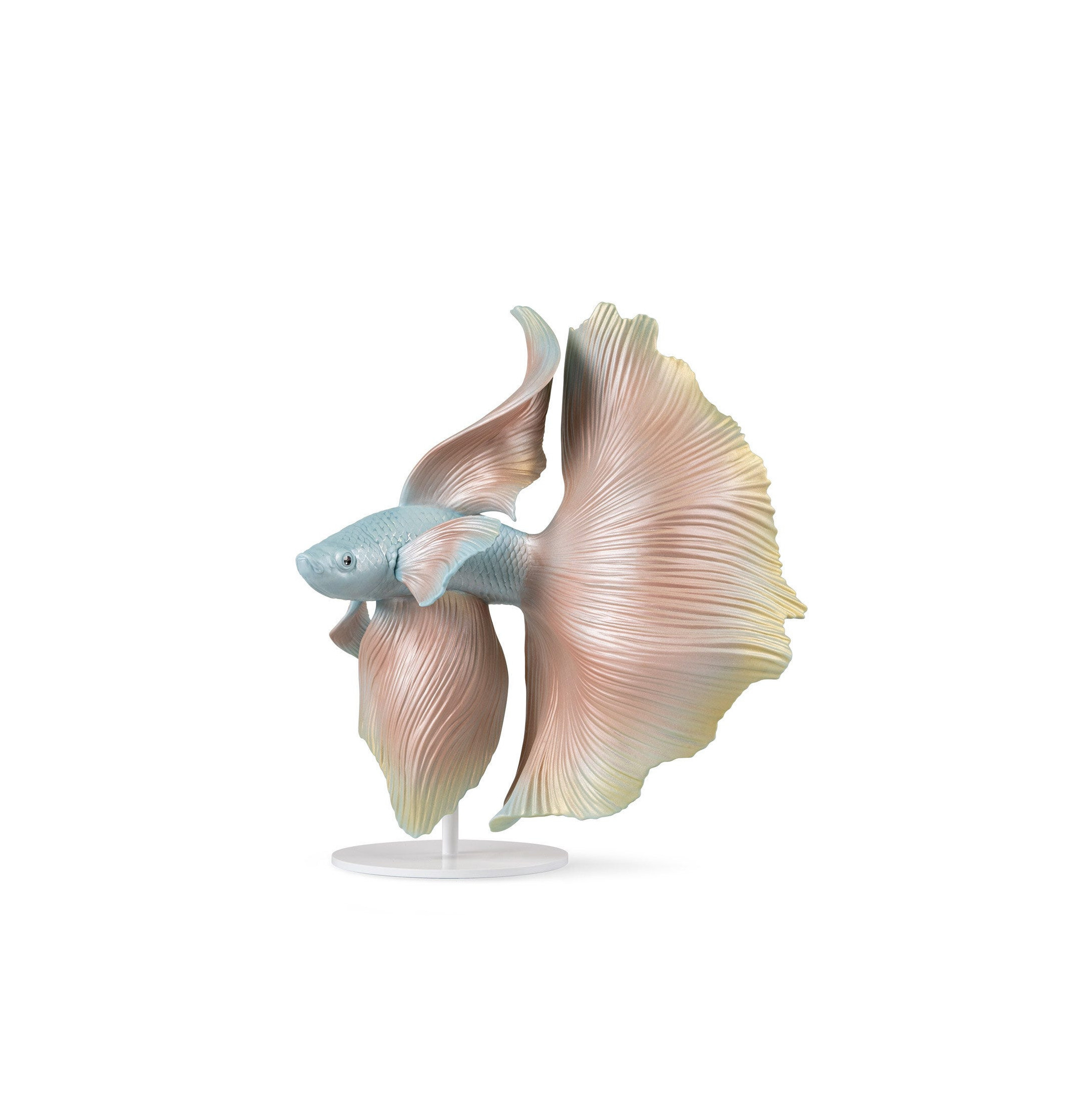 Rzeźba ryb Betta. Prawy Rzeźba ryb Betta. Prawy