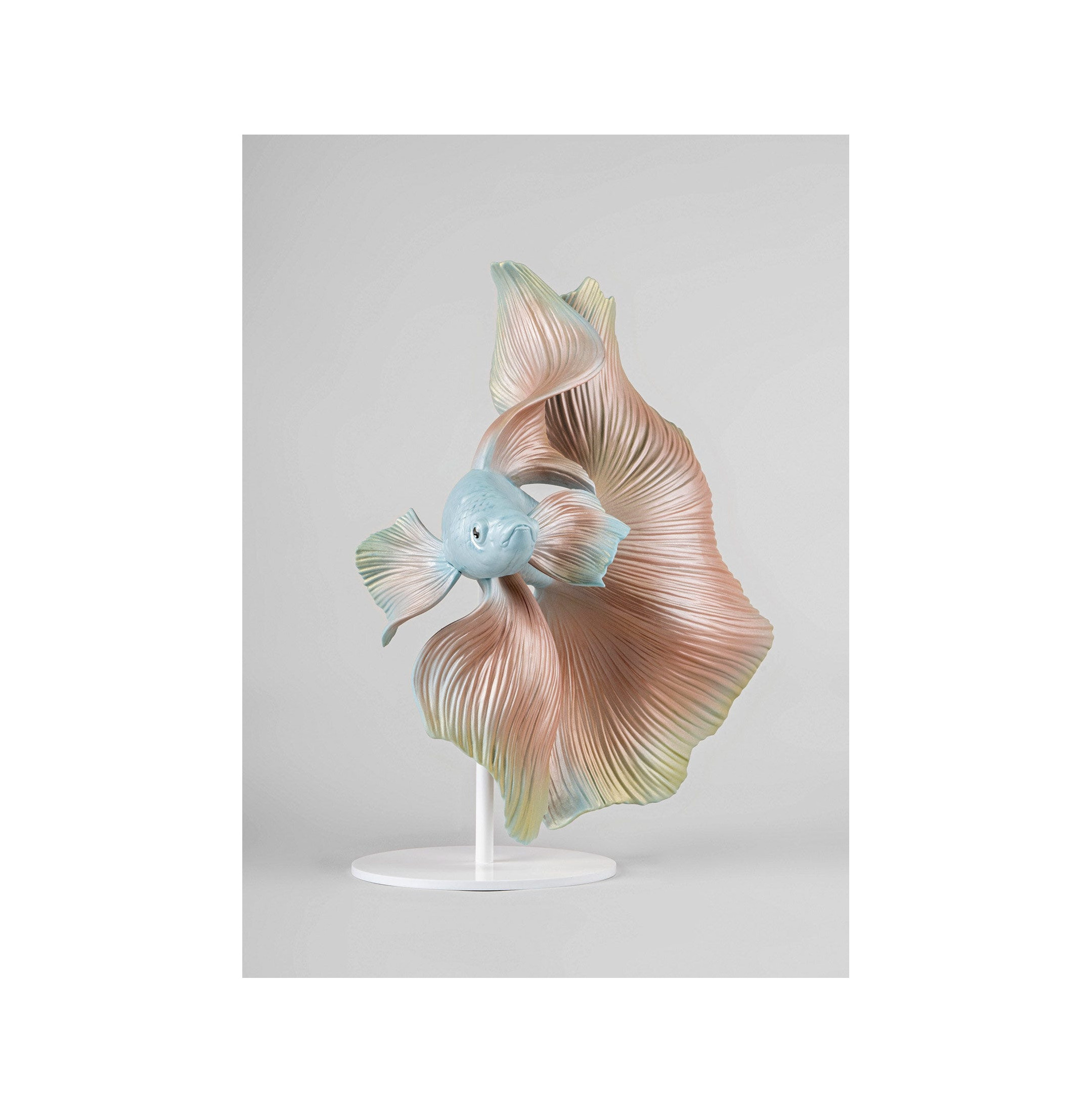 Rzeźba ryb Betta. Prawy Rzeźba ryb Betta. Prawy