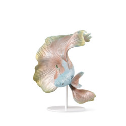 Rzeźba ryb Betta. Lewy Rzeźba ryb Betta. Lewy