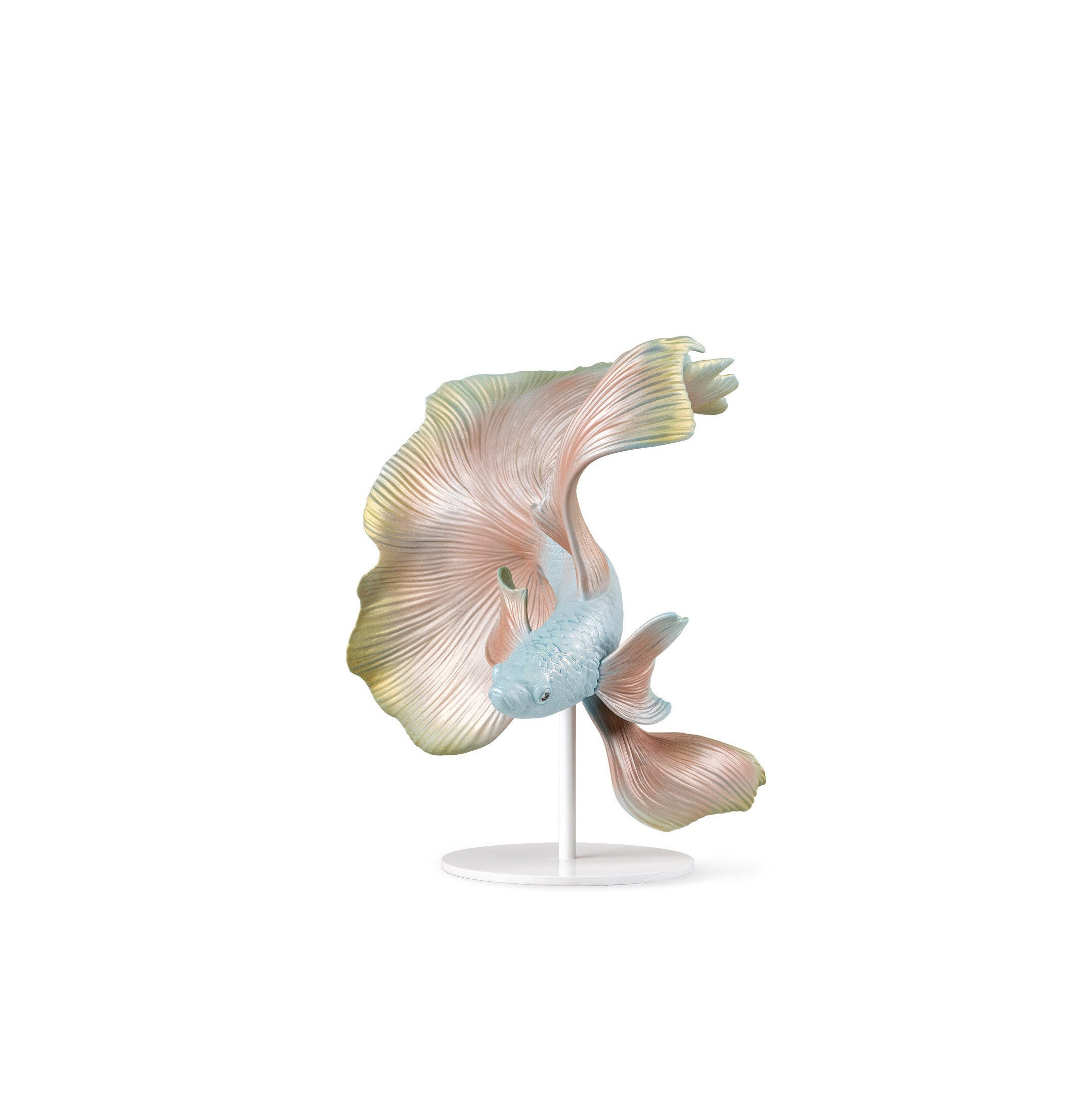 Rzeźba ryb Betta. Lewy Rzeźba ryb Betta. Lewy