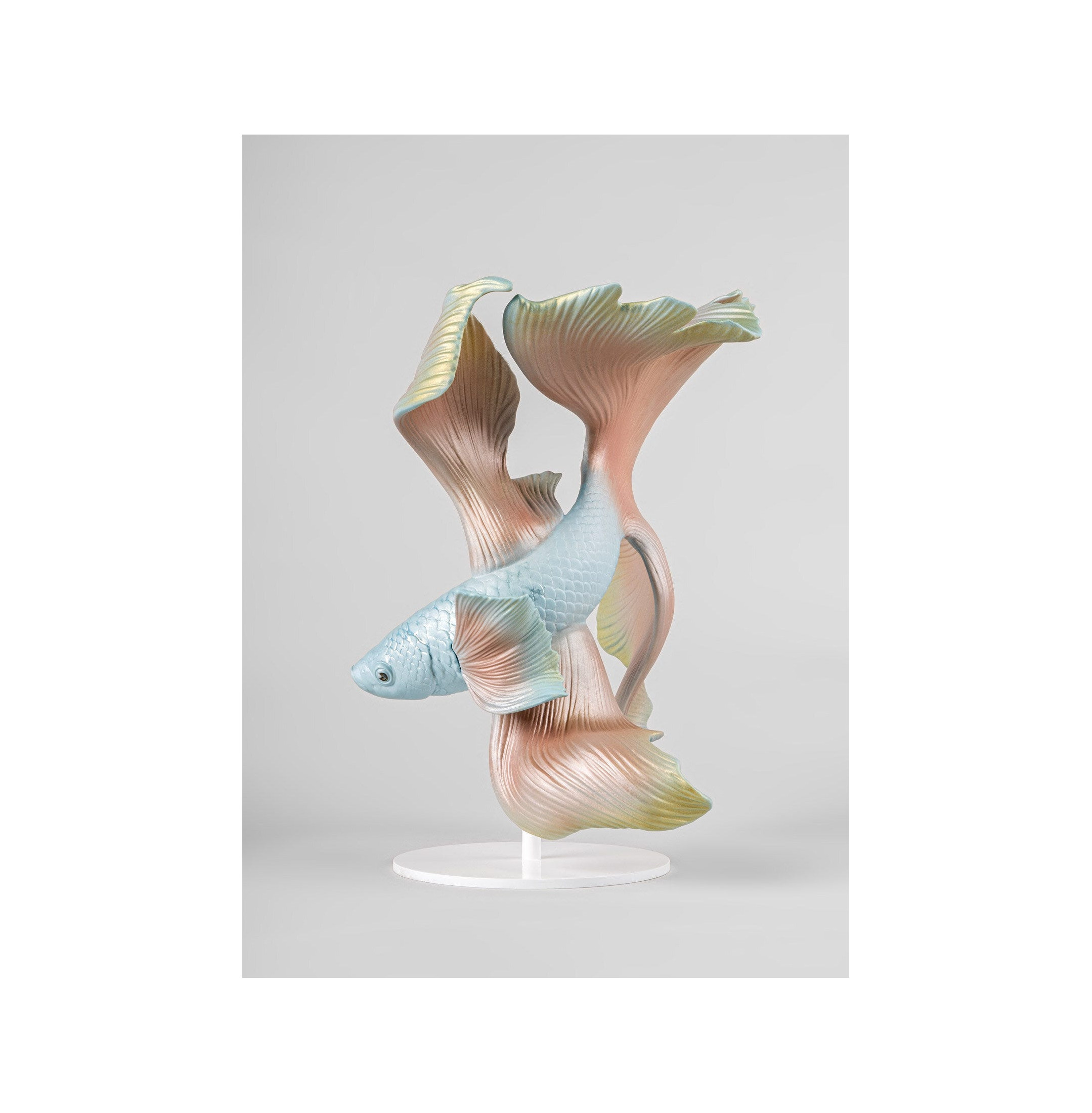 Rzeźba ryb Betta. Lewy Rzeźba ryb Betta. Lewy