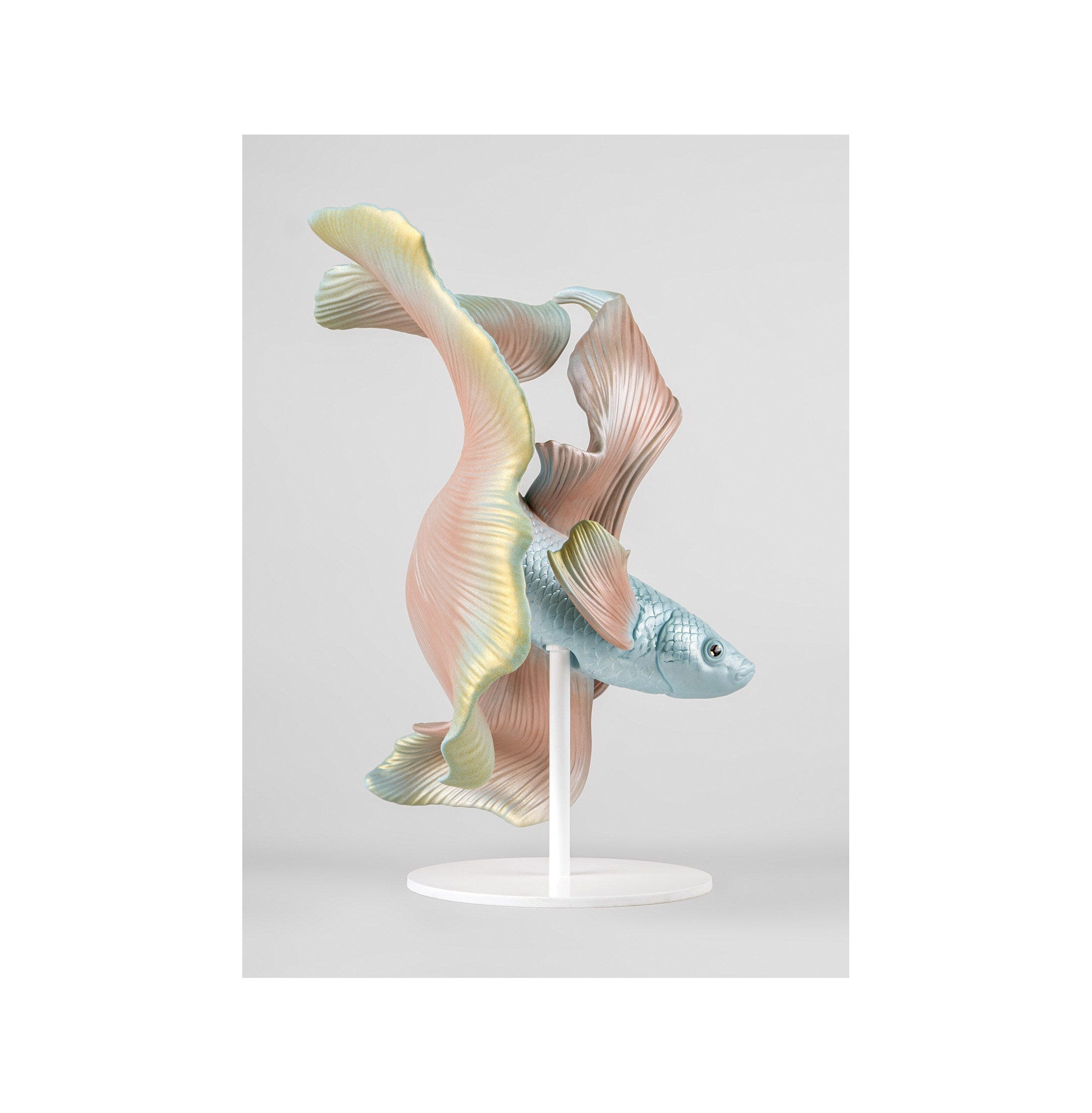 Rzeźba ryb Betta. Lewy Rzeźba ryb Betta. Lewy