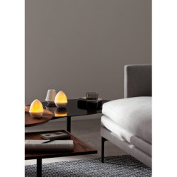 Afrykańska sawanna litofanowa Afrykańska sawanna litofanowa