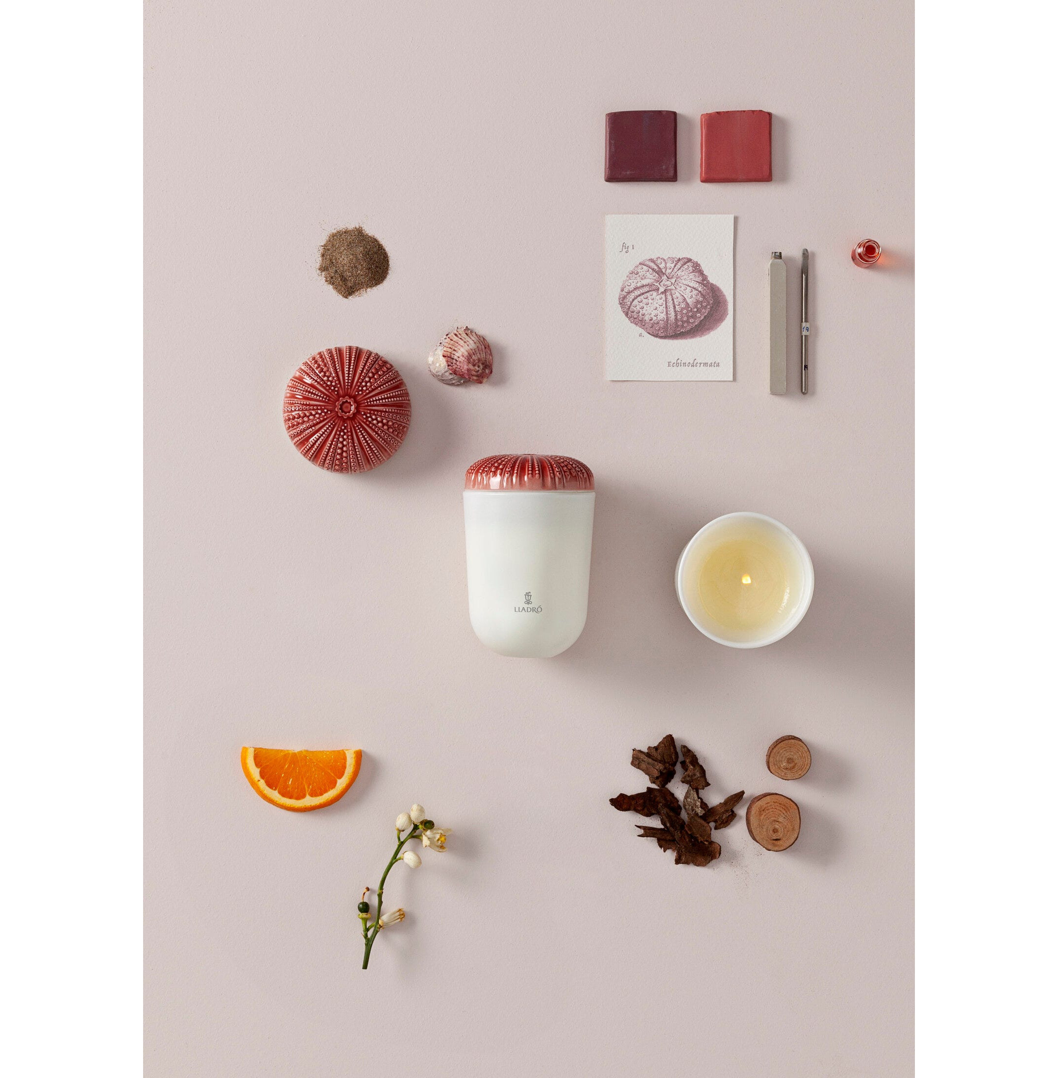 Świeca Echa Natury. Plaża Śródziemnomor Świeca Echa Natury. Plaża Śródziemnomor