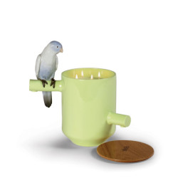 Pachnący skarb papugi. Na prerii Zapach. Zielony Pachnący skarb papugi. Na prerii Zapach. Zielony