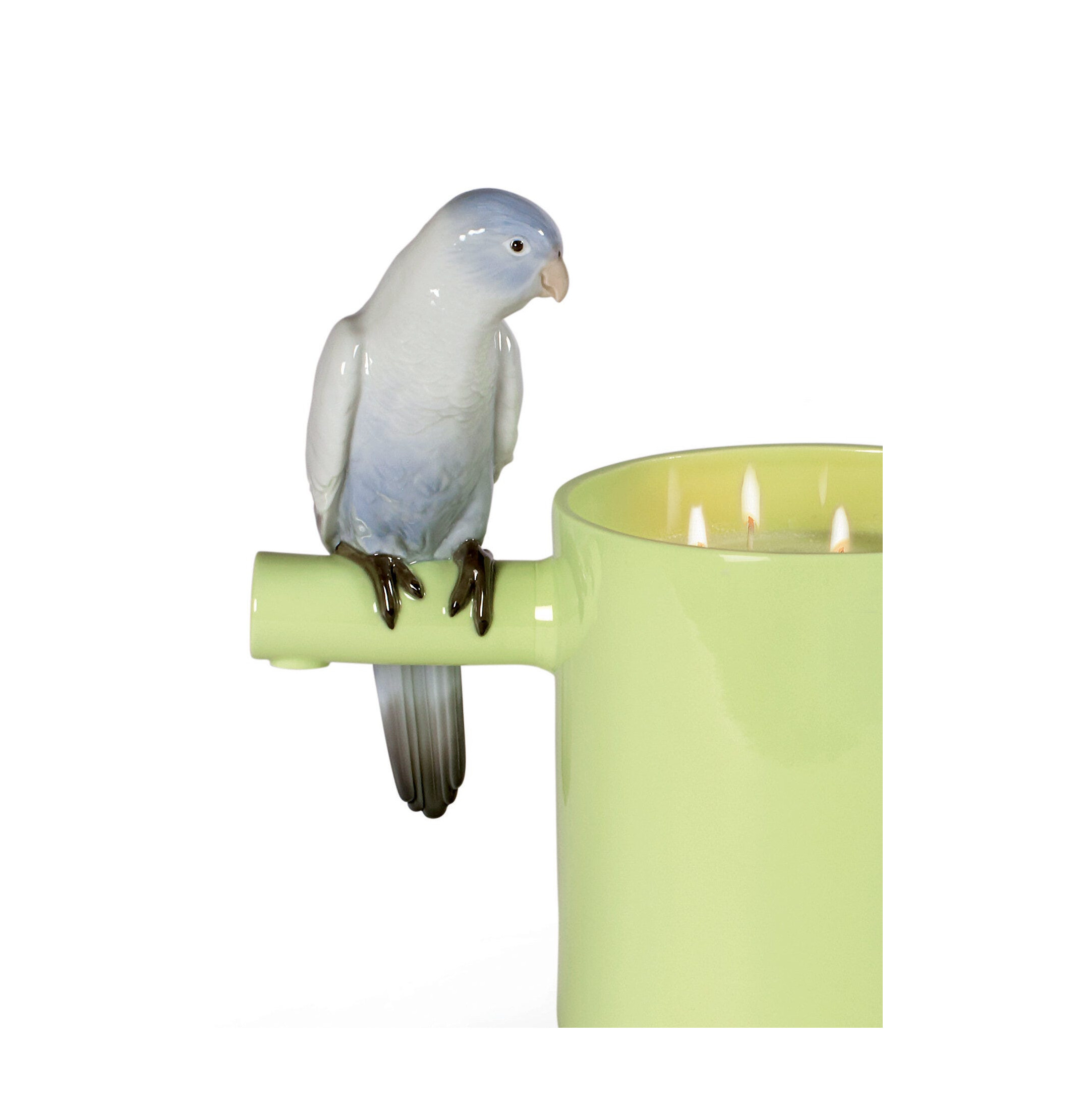 Pachnący skarb papugi. Na prerii Zapach. Zielony Pachnący skarb papugi. Na prerii Zapach. Zielony