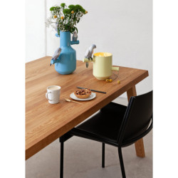 Pachnący skarb papugi. Na prerii Zapach. Zielony Pachnący skarb papugi. Na prerii Zapach. Zielony