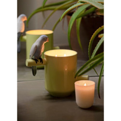 Pachnący skarb papugi. Na prerii Zapach. Zielony Pachnący skarb papugi. Na prerii Zapach. Zielony