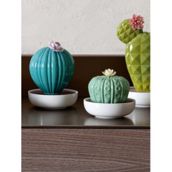 Dyfuzor kaktusowy Ferocactus. Ogrody Walencji Zapach Dyfuzor kaktusowy Ferocactus. Ogrody Walencji Zapach