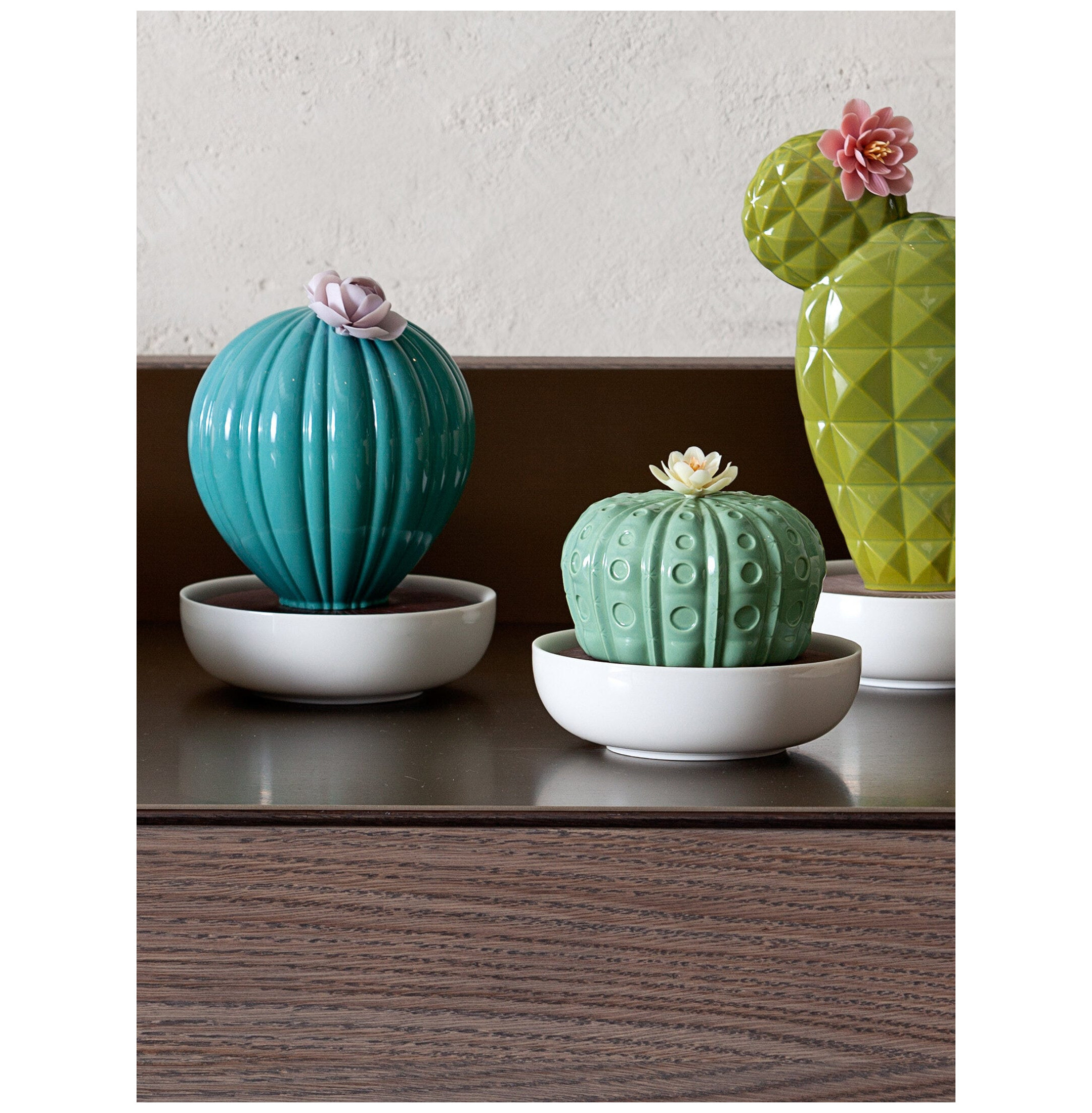 Dyfuzor kaktusowy Ferocactus. Ogrody Walencji Zapach Dyfuzor kaktusowy Ferocactus. Ogrody Walencji Zapach