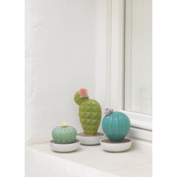 Dyfuzor kaktusowy Ferocactus. Ogrody Walencji Zapach Dyfuzor kaktusowy Ferocactus. Ogrody Walencji Zapach