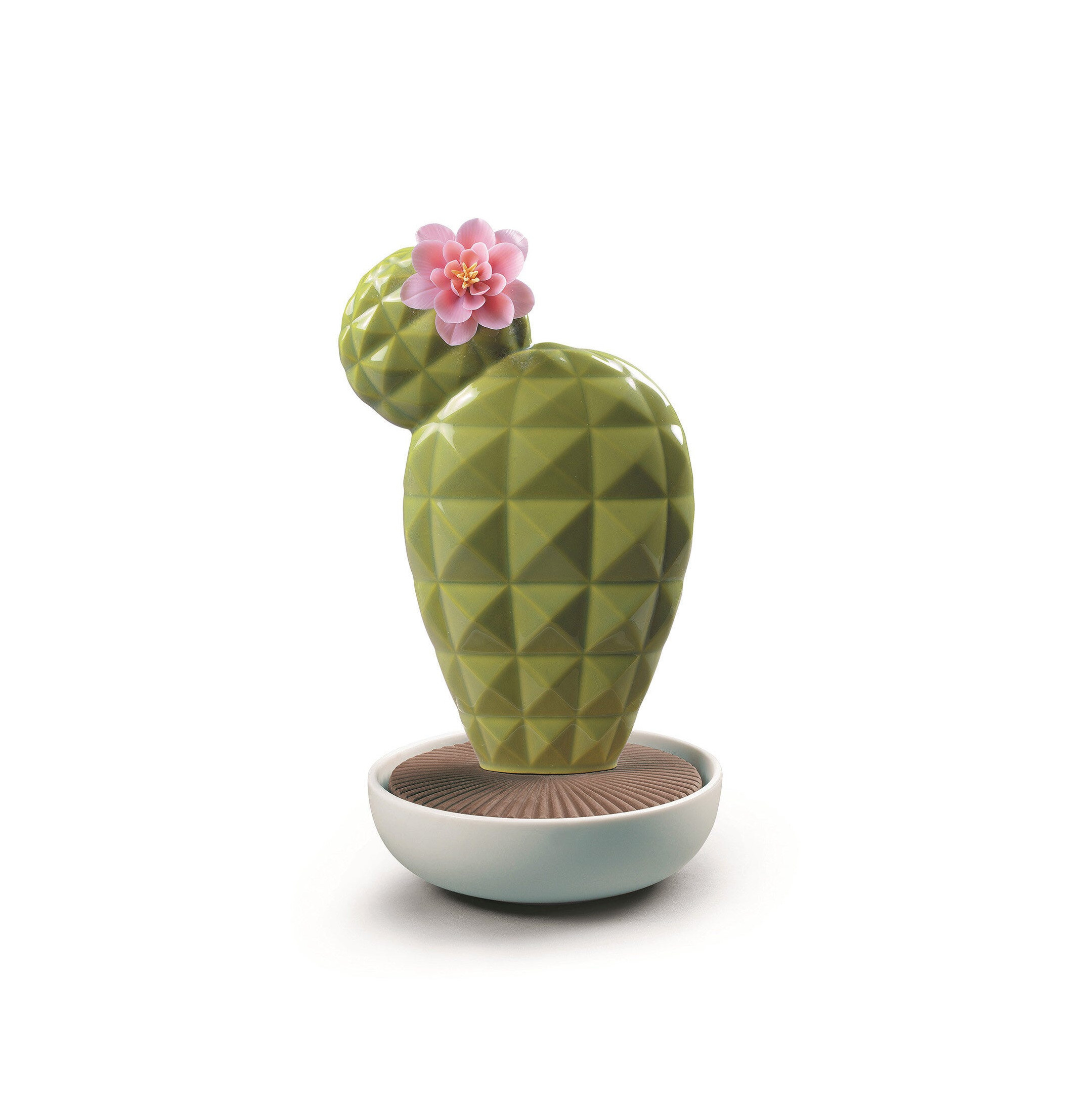 Dyfuzor kaktusa Opuntia. Ogrody Walencji Zapach Dyfuzor kaktusa Opuntia. Ogrody Walencji Zapach