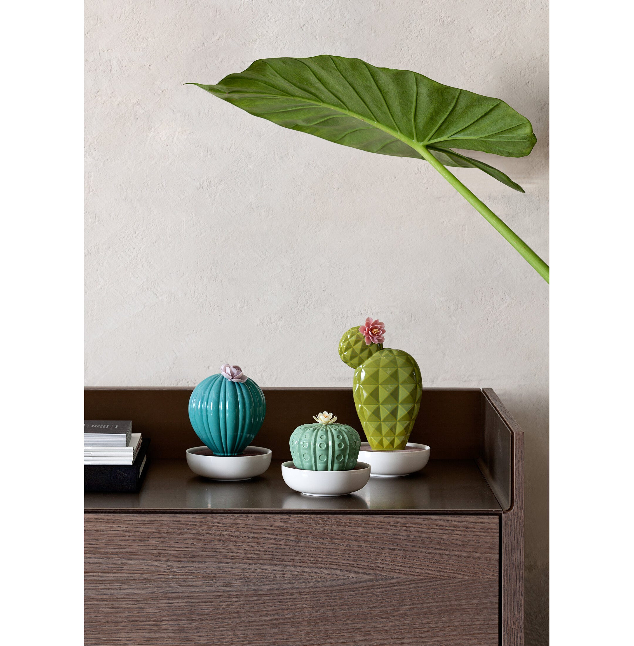 Dyfuzor kaktusowy Astrophytum. Ogrody Walencji Zapach Dyfuzor kaktusowy Astrophytum. Ogrody Walencji Zapach