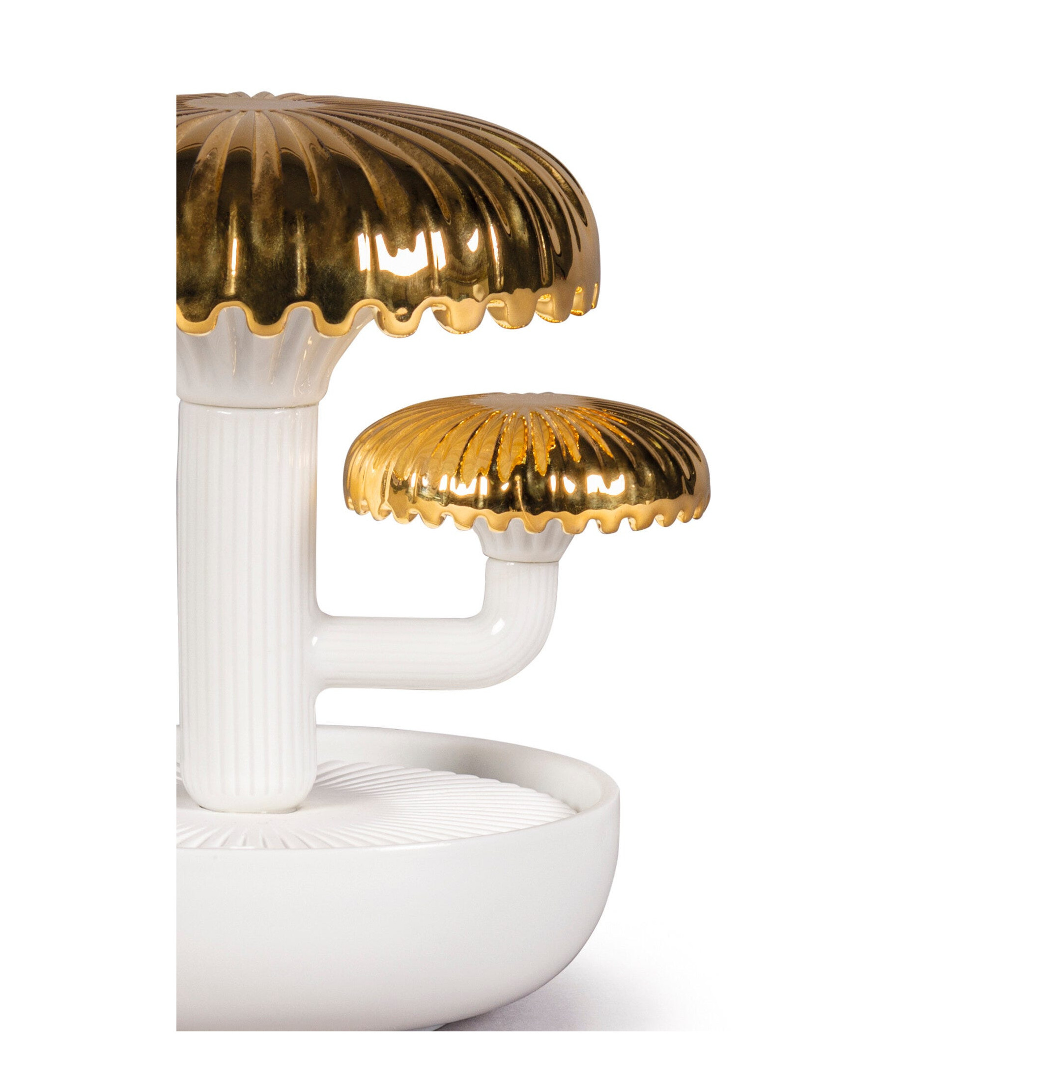 Dyfuzor Boletus 2. Złoto. Noc zbliża się Zapach Dyfuzor Boletus 2. Złoto. Noc zbliża się Zapach