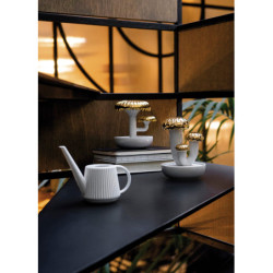 Dyfuzor Boletus 2. Złoto. Noc zbliża się Zapach Dyfuzor Boletus 2. Złoto. Noc zbliża się Zapach