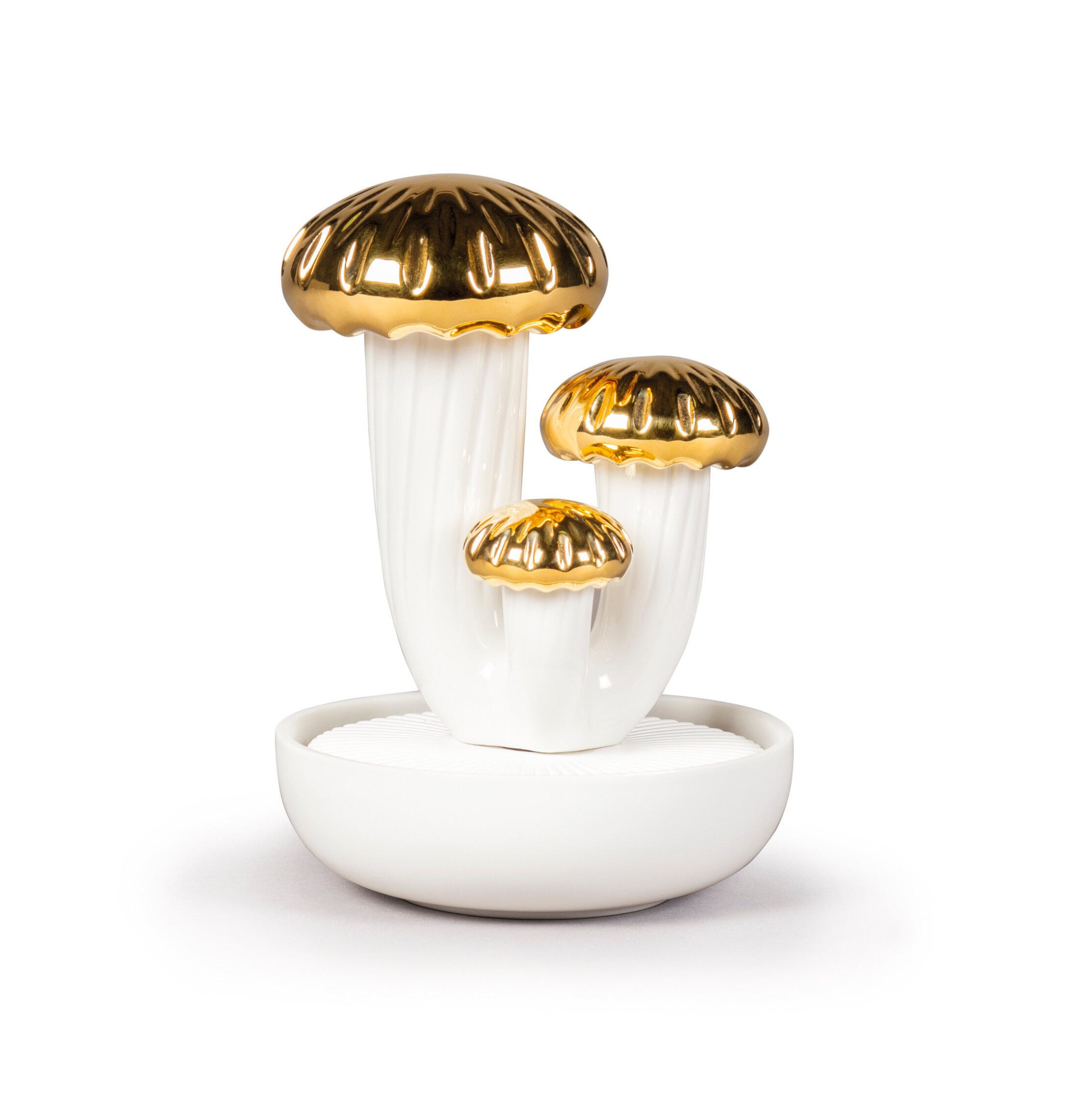 Dyfuzor Boletus 3. Złoto. Ogrody Walencji Zapach Dyfuzor Boletus 3. Złoto. Ogrody Walencji Zapach