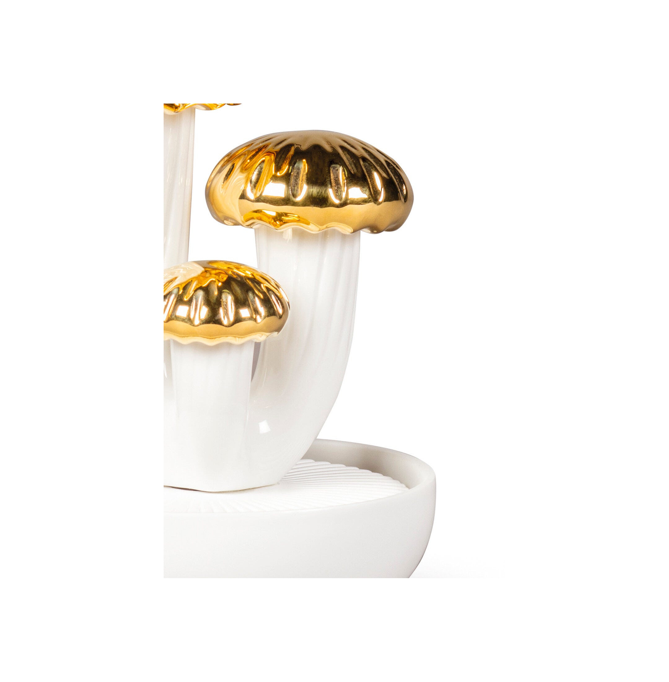 Dyfuzor Boletus 3. Złoto. Ogrody Walencji Zapach Dyfuzor Boletus 3. Złoto. Ogrody Walencji Zapach