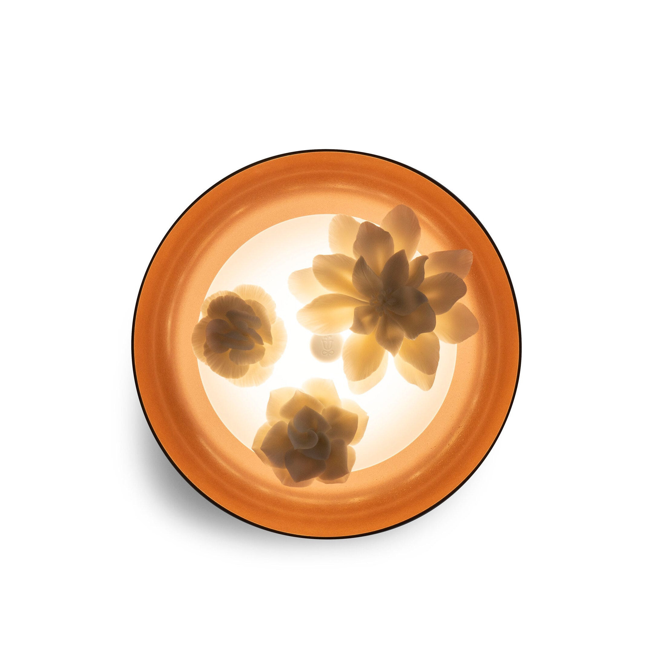 Kinkiet bukietowy (CE/UK) Kinkiet bukietowy (CE/UK)